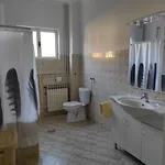 Vlado 扎达尔