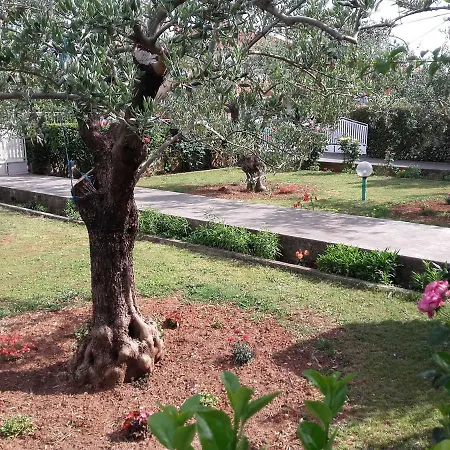 Apartmán Vlado Zadar